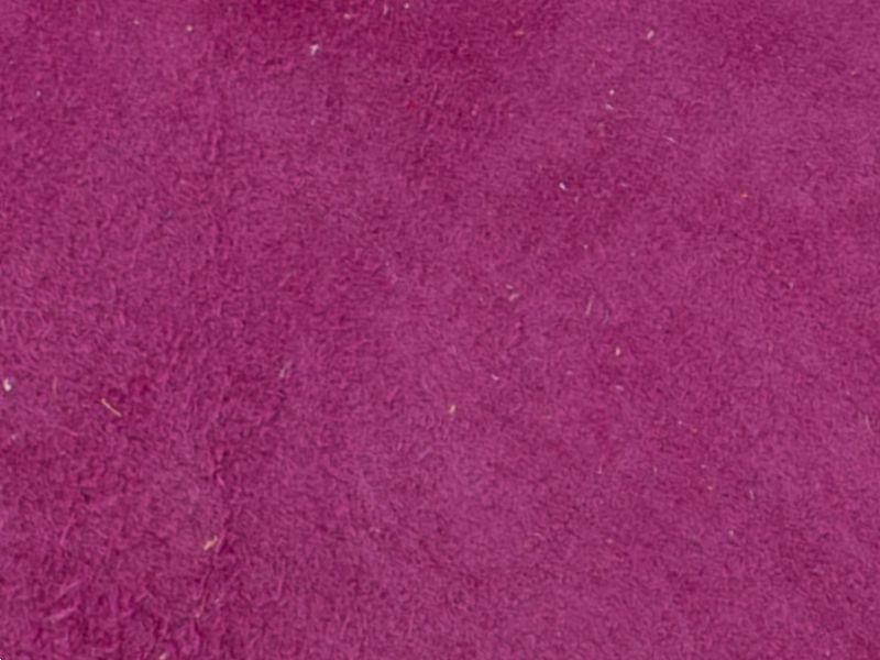 Fuxia