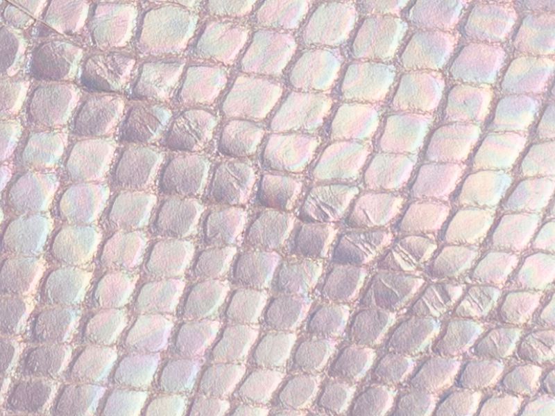 Serpente