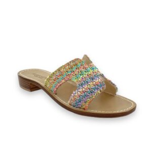 RAFIA  " H " MULTICOLOR