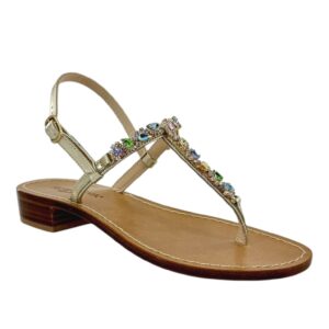T MULTICIELO
